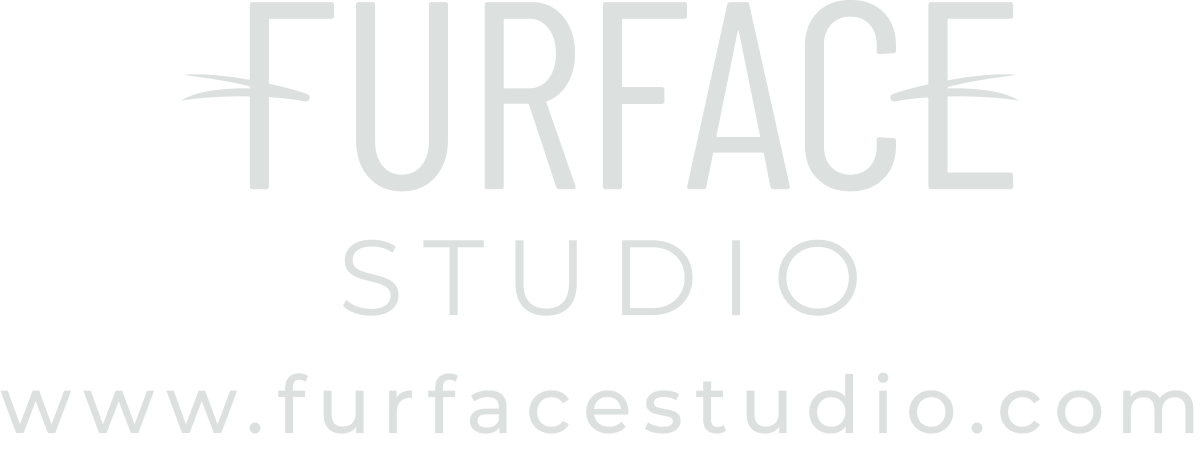 Furface Studio